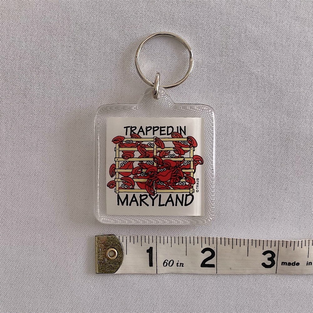 ⭐️ Vintage Acrylic Multicolored Trapped In Maryland Keychain - Picture 5 of 5